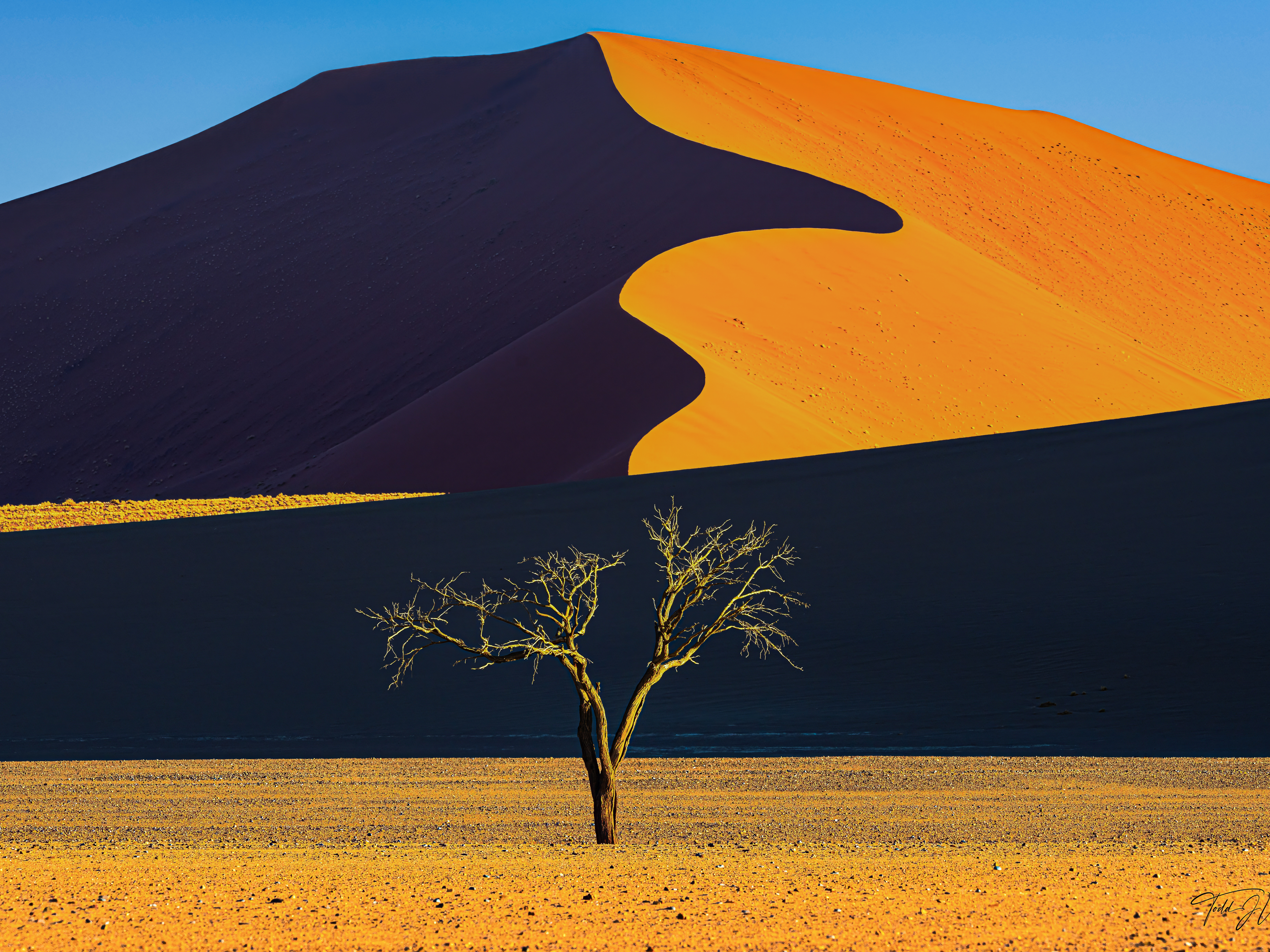 Wild Namibia